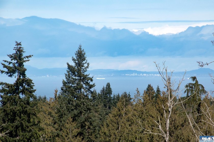 An exceptional 5-acre parcel defined by scenic beauty and - photo 21