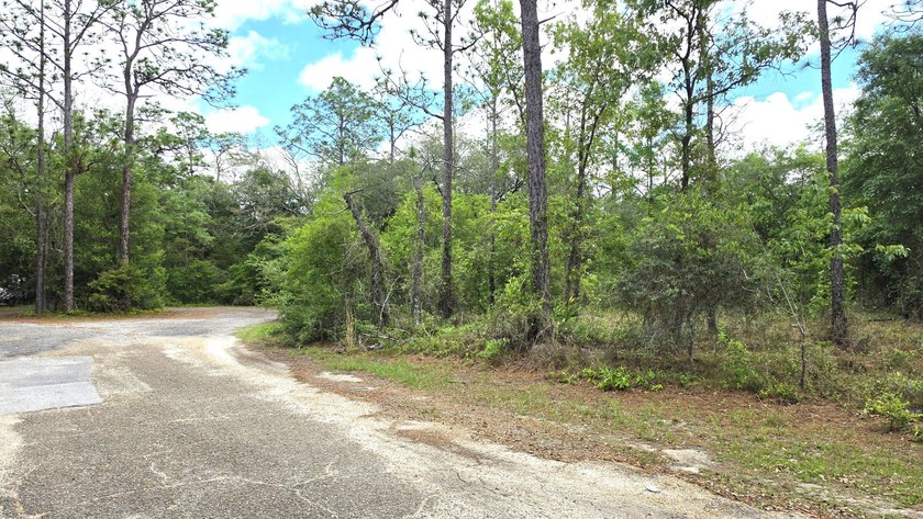 Build your dream home on this beautiful 1.7-acre wooded homesite - photo 2