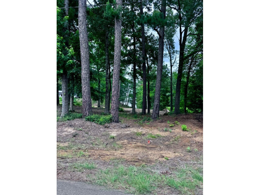 Don't miss this opportunity to own an affordable waterfront - photo 7