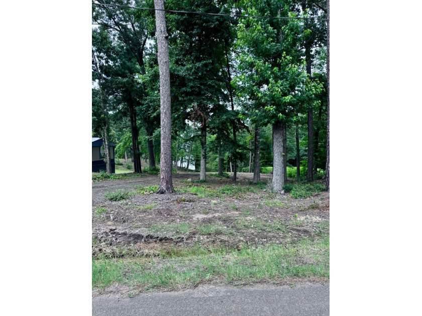 Don't miss this opportunity to own an affordable waterfront - photo 8