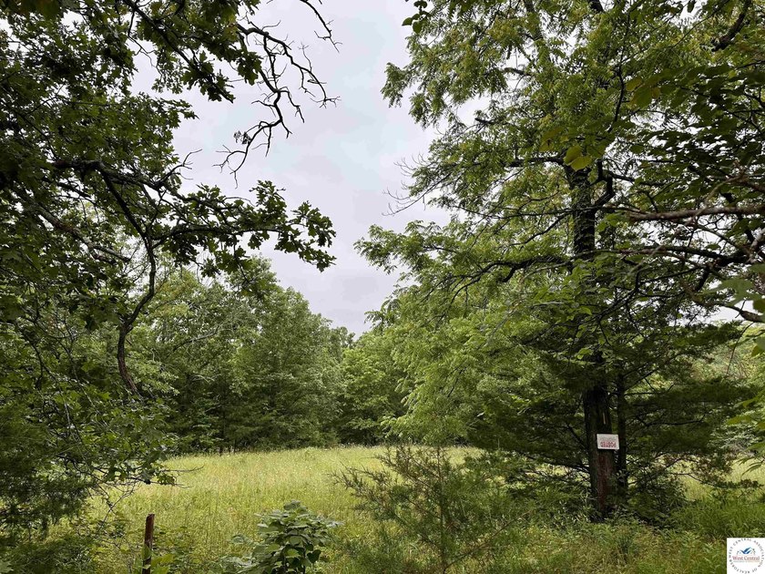 This is the perfect 15 acre piece to build your dream home of - photo 2