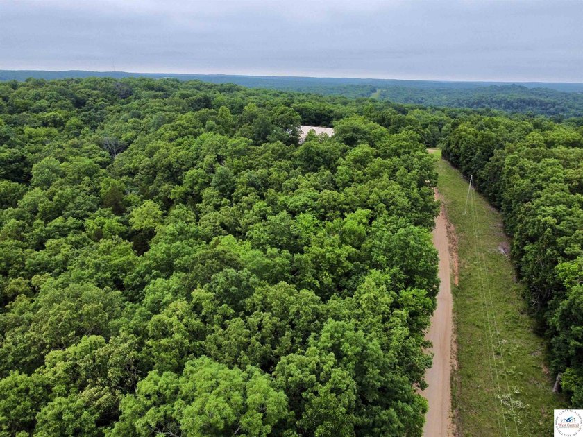 This is the perfect 15 acre piece to build your dream home of - photo 8