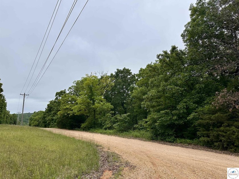 This is the perfect 15 acre piece to build your dream home of - photo 9