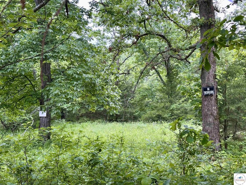This is the perfect 15 acre piece to build your dream home of - photo 10