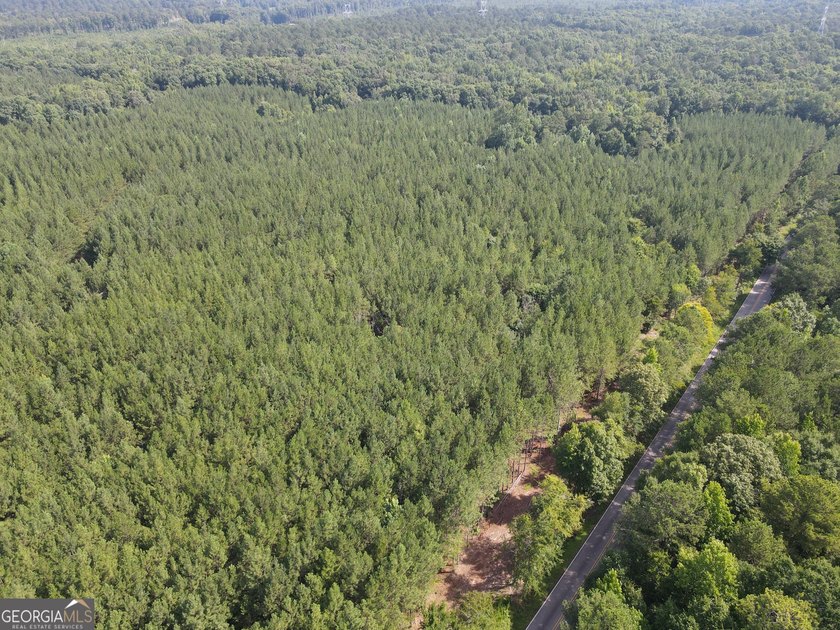 Georgia Premier RE Advisors is pleased to present 50 acres in - photo 2