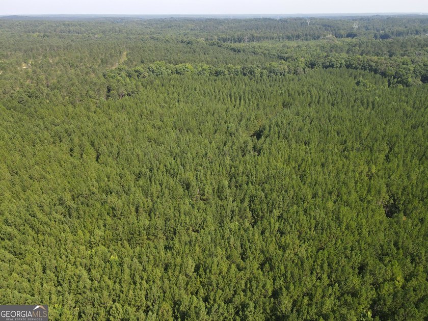 Georgia Premier RE Advisors is pleased to present 50 acres in - photo 3