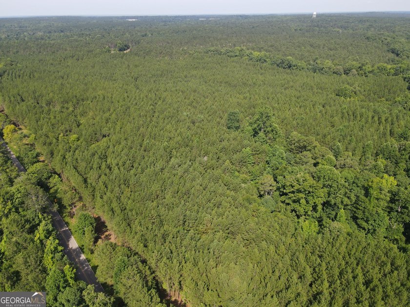 Georgia Premier RE Advisors is pleased to present 50 acres in - photo 4