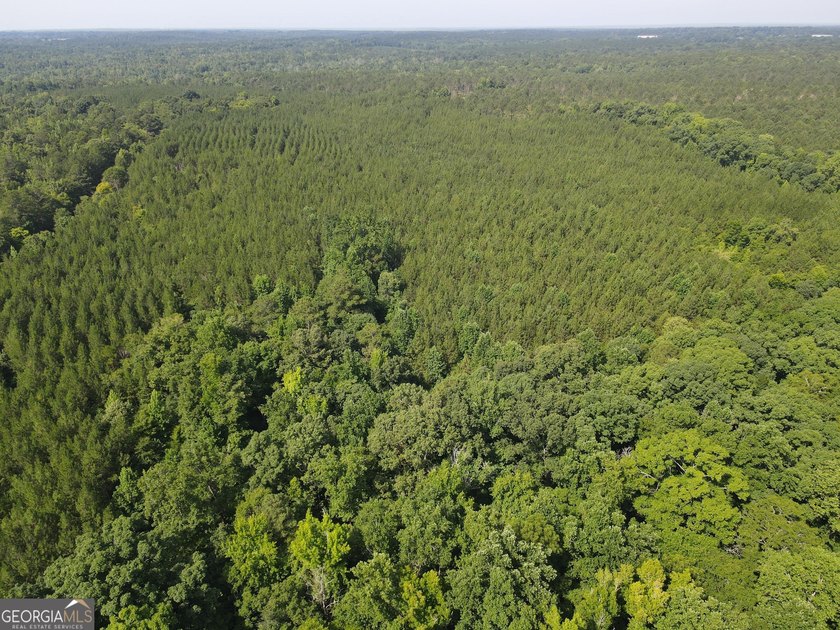 Georgia Premier RE Advisors is pleased to present 50 acres in - photo 5