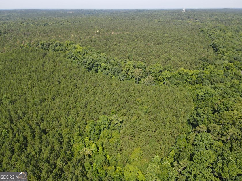 Georgia Premier RE Advisors is pleased to present 50 acres in - photo 6