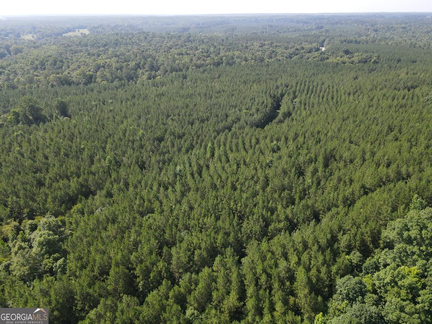Georgia Premier RE Advisors is pleased to present 50 acres in - photo 7