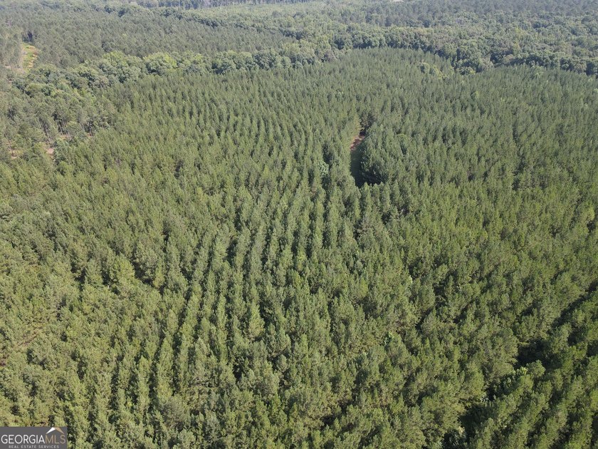 Georgia Premier RE Advisors is pleased to present 50 acres in - photo 9