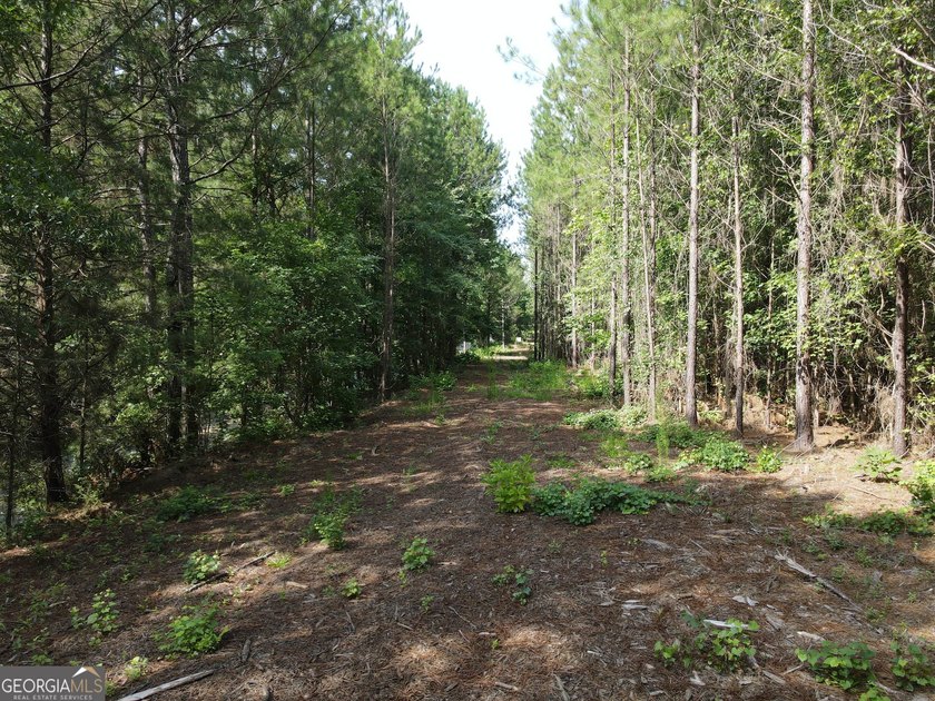 Georgia Premier RE Advisors is pleased to present 50 acres in - photo 10