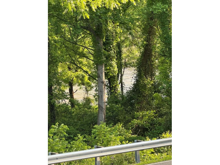 Prime Riverside Property with Endless Potential - Commercial or - photo 18