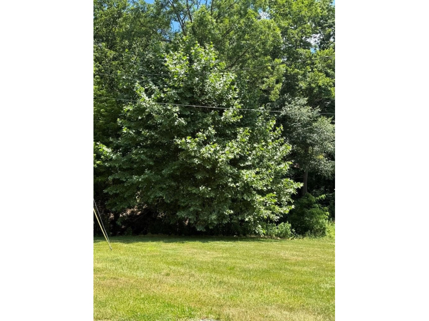 Prime Riverside Property with Endless Potential - Commercial or - photo 22