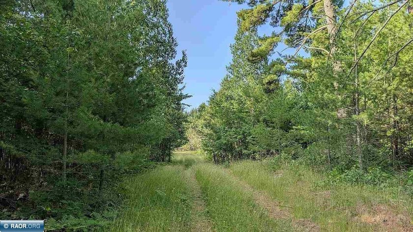 Rare opportunity to own 45 acres of mostly high-ground, classic - photo 12