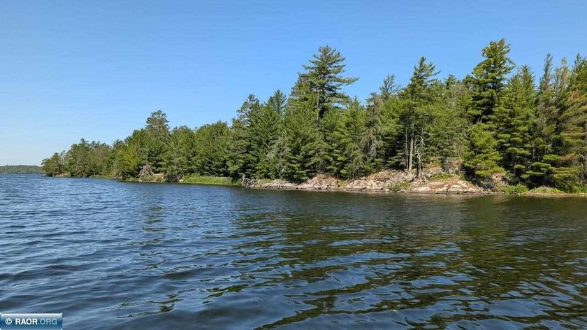 Rare opportunity to own 45 acres of mostly high-ground, classic - photo 13
