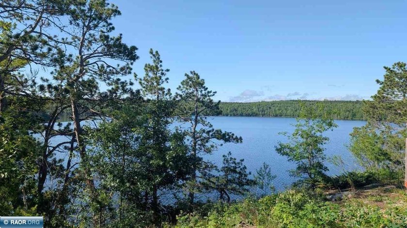 Rare opportunity to own 45 acres of mostly high-ground, classic - photo 15