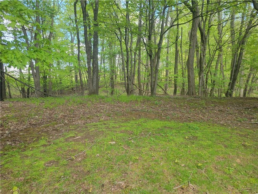 Don't let the looks deceive you. This property has tons of space - photo 17