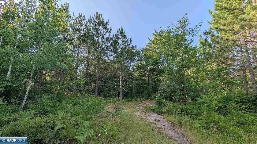 Rare opportunity to own 45 acres of mostly high-ground, classic - photo 17