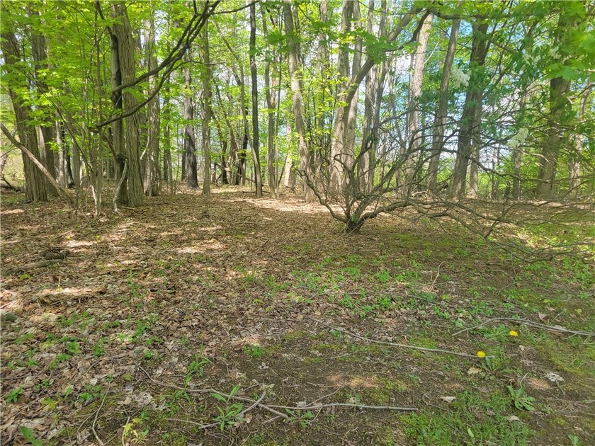 Don't let the looks deceive you. This property has tons of space - photo 18