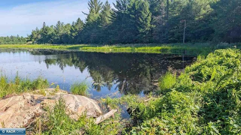 Rare opportunity to own 45 acres of mostly high-ground, classic - photo 19