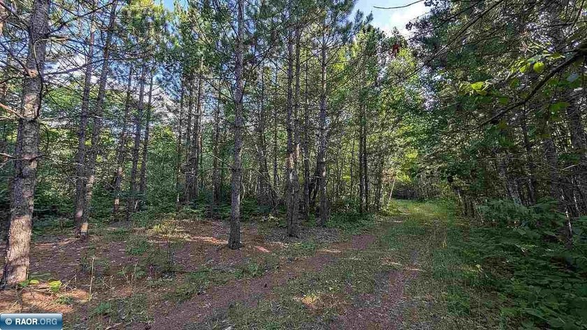 Rare opportunity to own 45 acres of mostly high-ground, classic - photo 21
