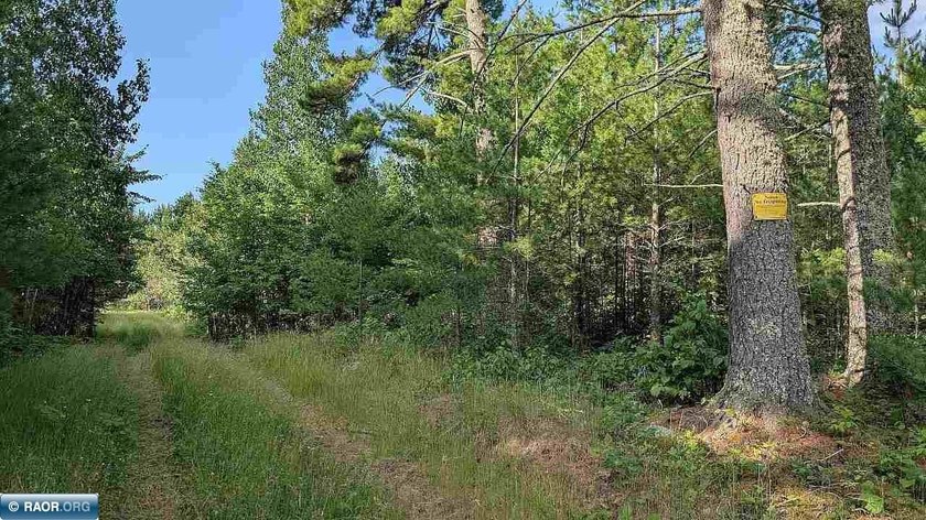 Rare opportunity to own 45 acres of mostly high-ground, classic - photo 24