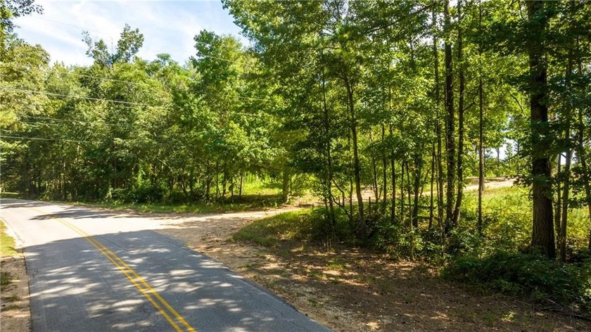 4.41 acre lot on Lake Harding with over 800 feet of waterfront - photo 5