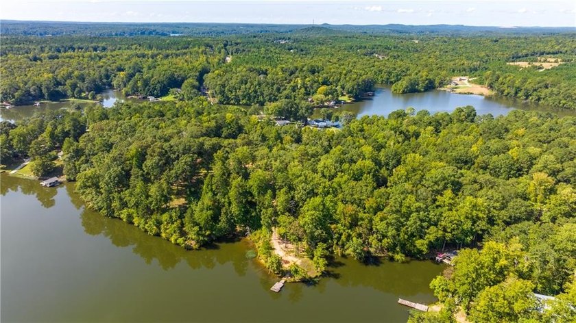 4.41 acre lot on Lake Harding with over 800 feet of waterfront - photo 8