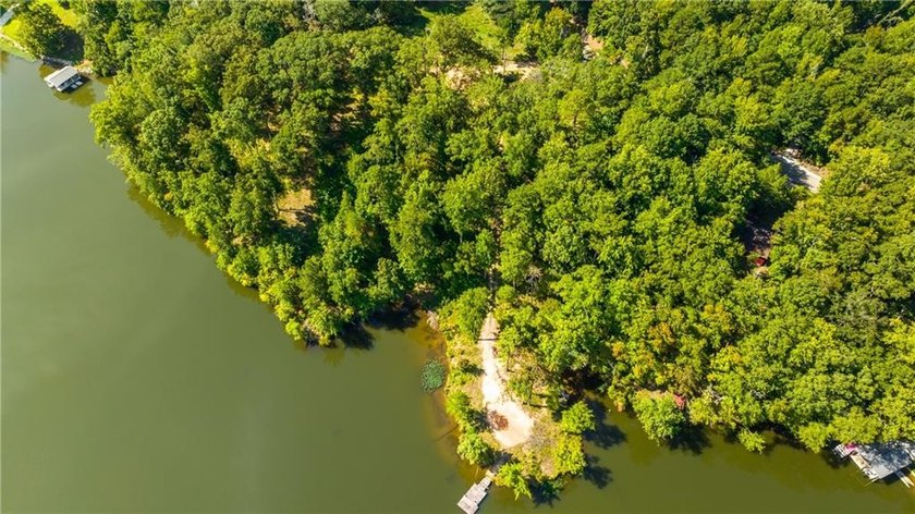 4.41 acre lot on Lake Harding with over 800 feet of waterfront - photo 9
