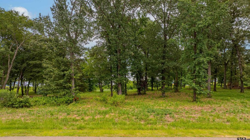 Awesome Waterfront Lot in Sterling Shores - Lake Bob Sandlin - photo 10