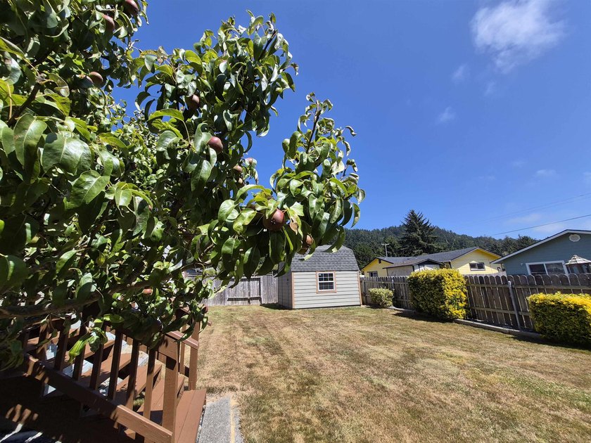 Beautifully Maintained Home Near the Ocean &amp; Redwood National - photo 17