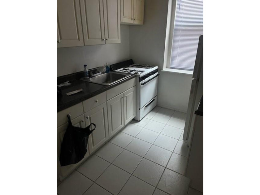 Welcome to 255 79th Street, Unit A3! This well-maintained - photo 6