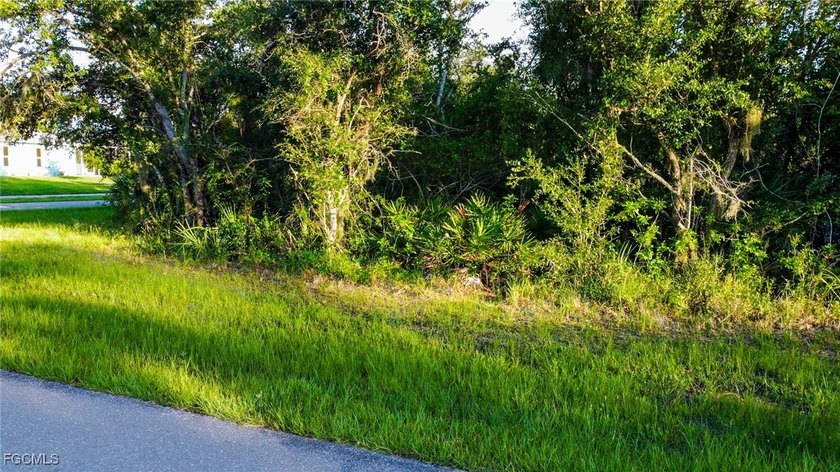 Build your custom Florida dream home on this premium 0.51-acre - photo 5