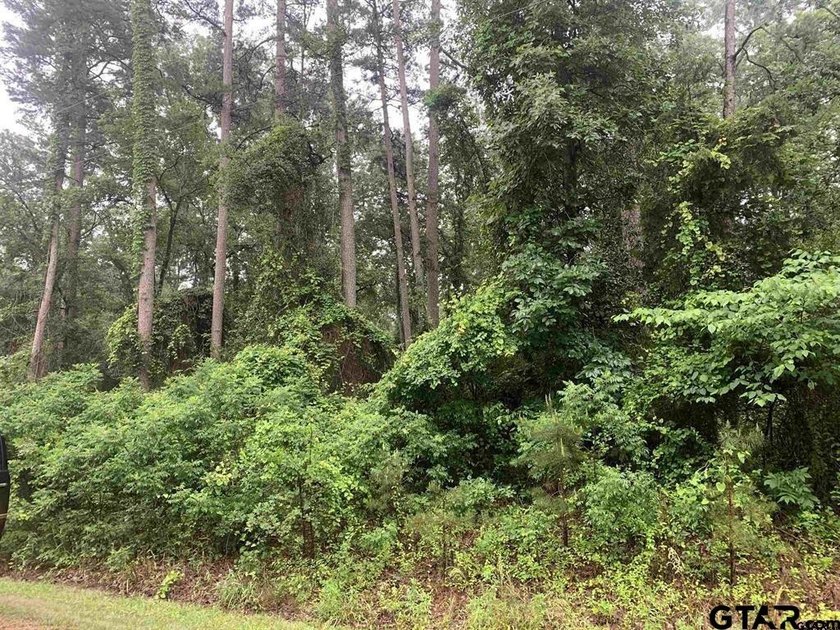 Incredible opportunity in one of Lake Cypress Springs most - photo 2