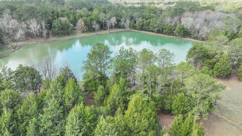 Cedar Pines Retreat offers a balance of convenience and privacy - photo 14