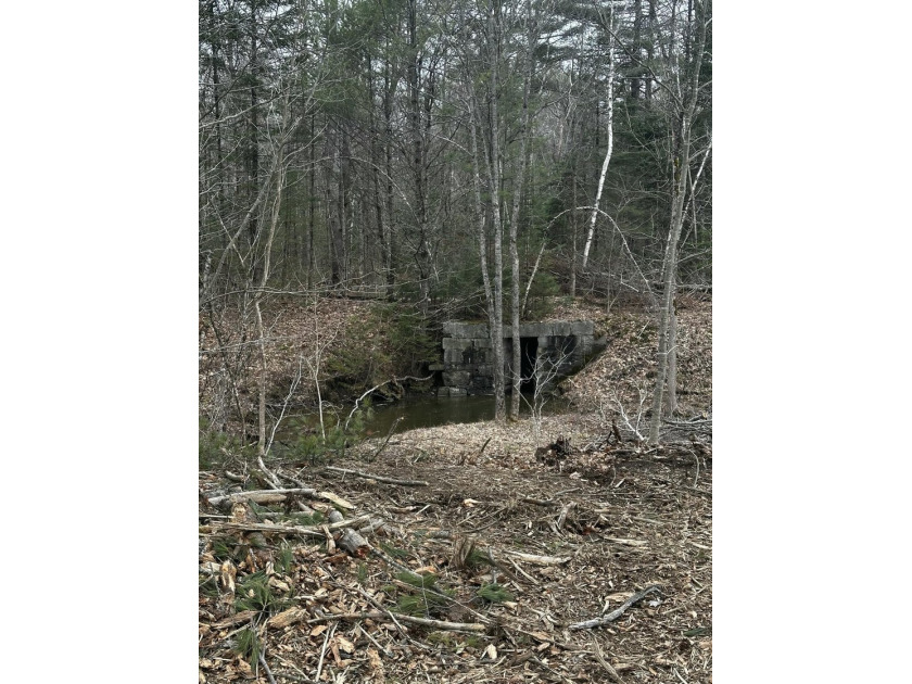 A beautiful lot with a stream and a unique rock bridge in the - photo 15