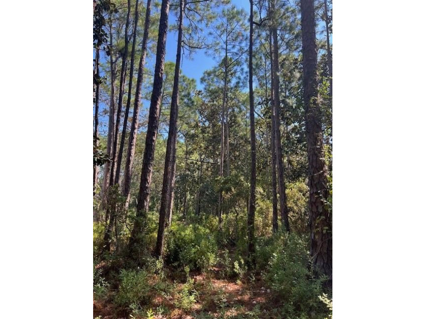 Discover a large exceptional building lot located on West Hewett - photo 17