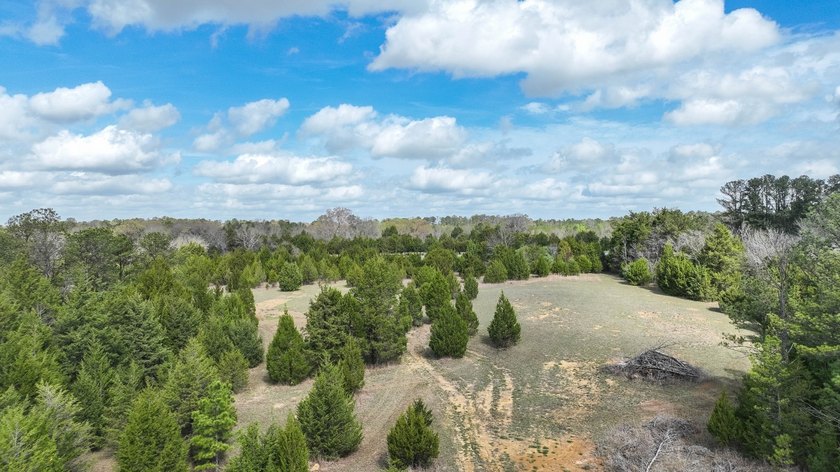 Cedar Pines Retreat offers a balance of convenience and privacy - photo 17