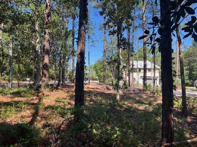 Discover a large exceptional building lot located on West Hewett - photo 18