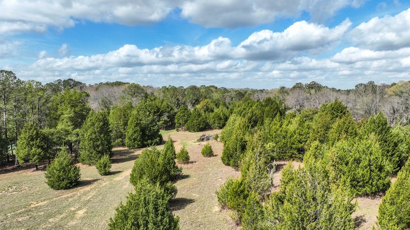 Cedar Pines Retreat offers a balance of convenience and privacy - photo 19