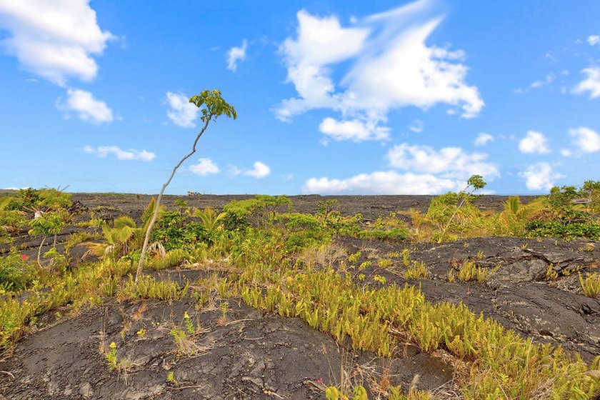 Improved Lots, Sold Together for this Price, in Kalapana Gardens - photo 11