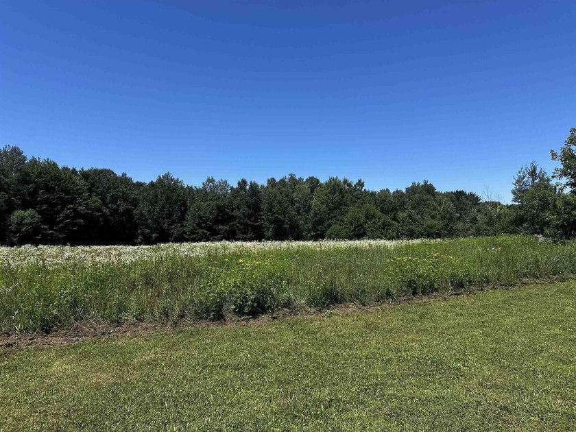 This beautiful 10 acres is a short walk from the public boat - photo 6