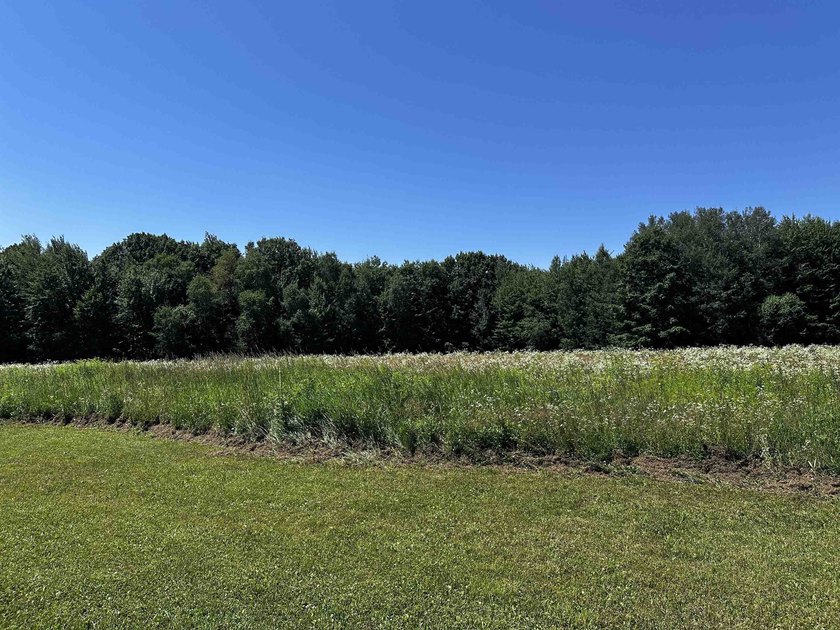 This beautiful 10 acres is a short walk from the public boat - photo 7