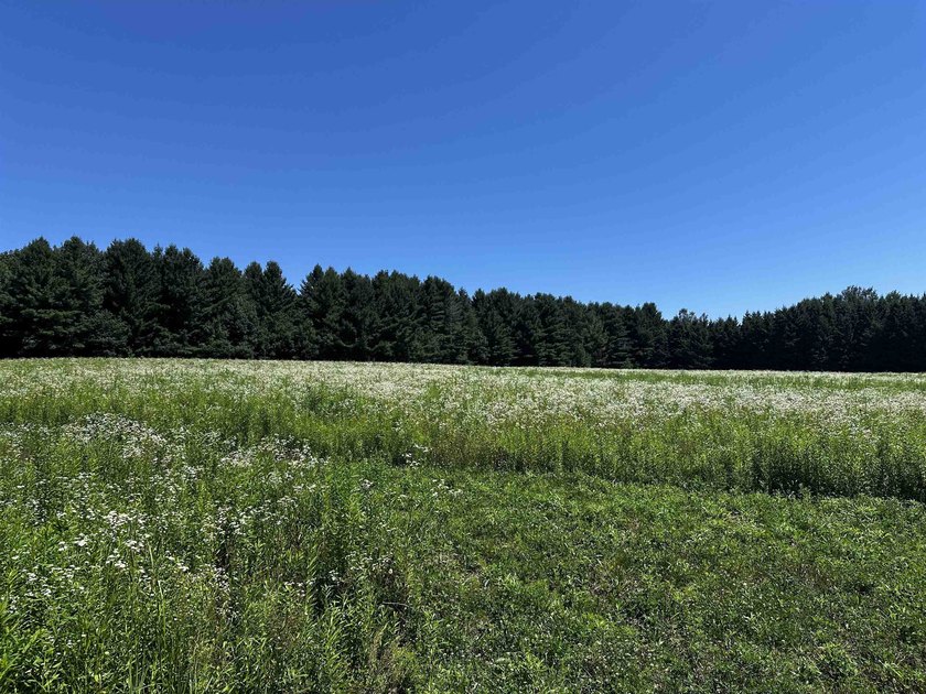 This 10 acres is well suited for building an executive retreat - photo 3