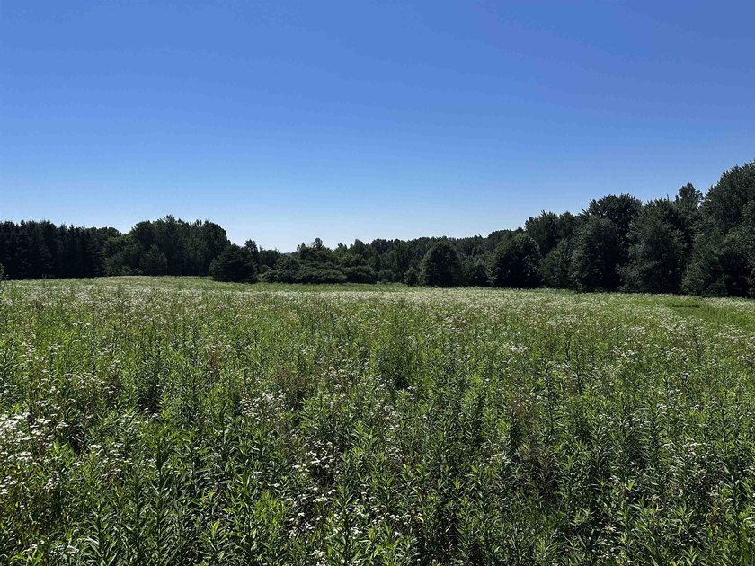 This 10 acres is well suited for building an executive retreat - photo 9
