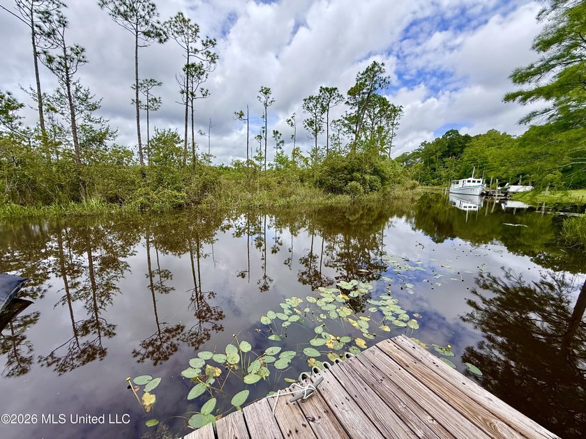 Looking for a waterfront property for your dream home? This lot - photo 14