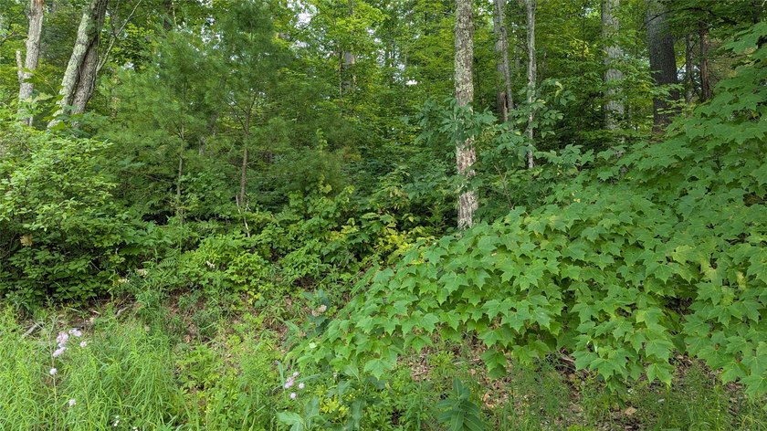 Some properties invite you to slow down and this is one of them! - photo 6