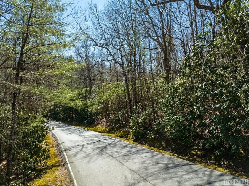 This vacant lot spans .81 acres, presenting an ideal canvas for - photo 4