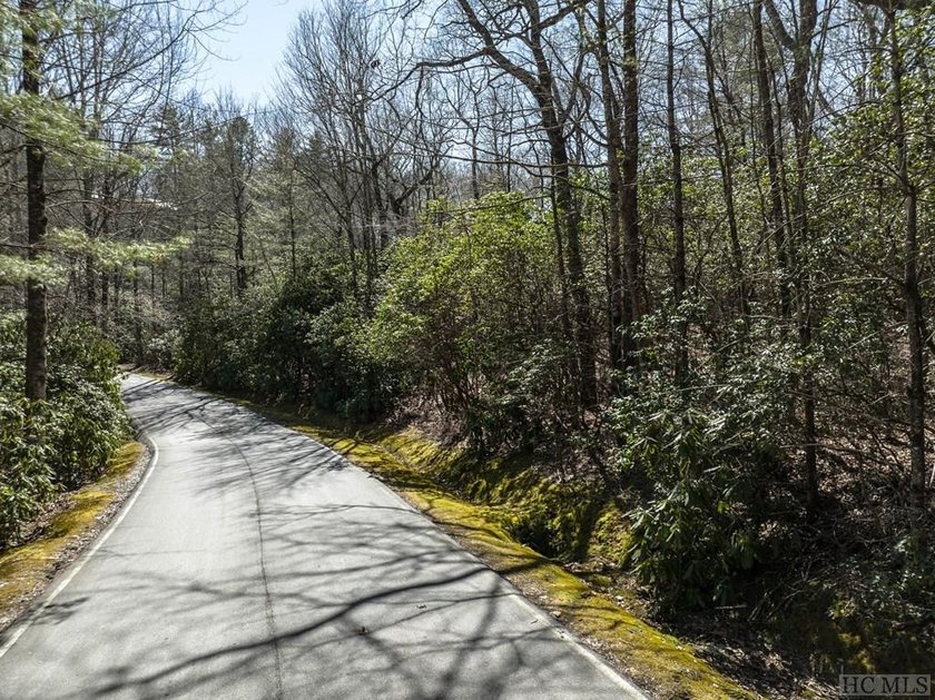 This vacant lot spans .81 acres, presenting an ideal canvas for - photo 5